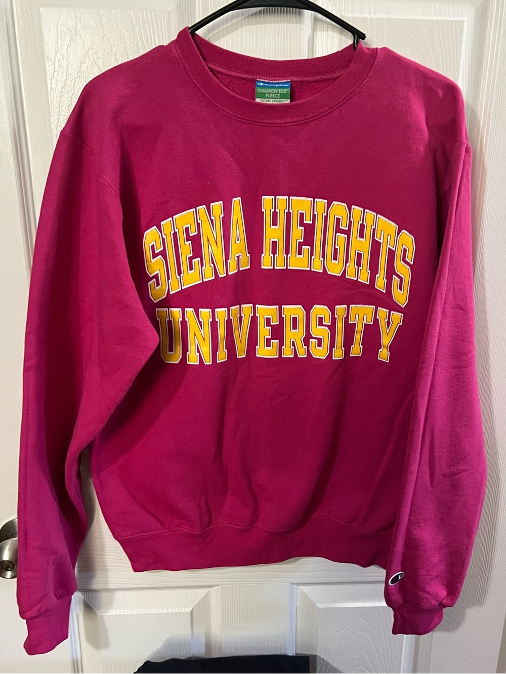 Vintage Champion Eco Fleece Fuchsia sweatshirt SIENA HEIGHTS UNIVERSITY Y2K Sz S